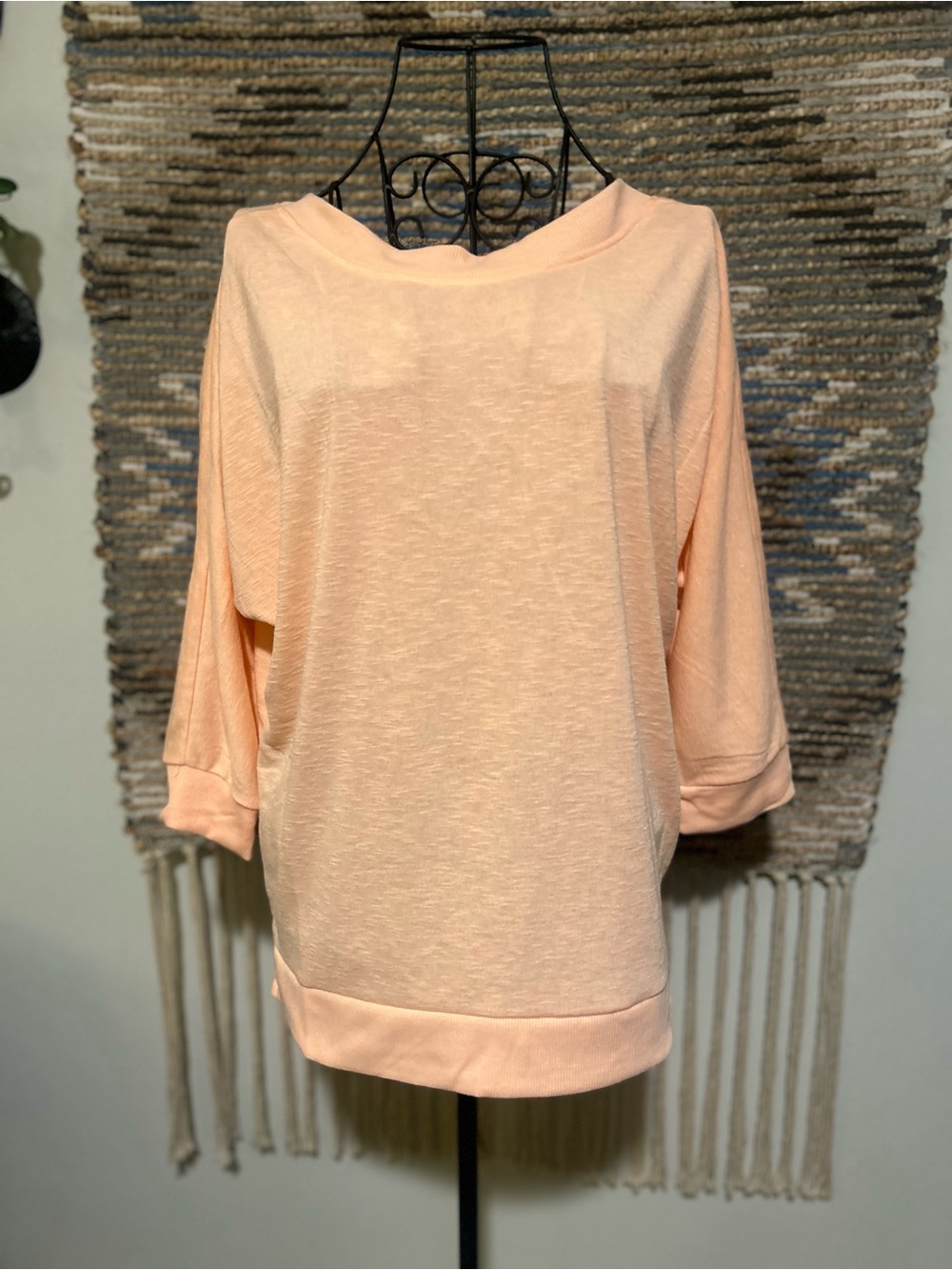 The Sweatshirt Project Relaxed Boatneck Top in Soft Peach